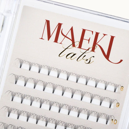 XL 5D Premade Volume Trays